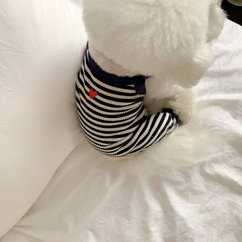 Летен нов ежедневен раиран домашен любимец, камизолка, жилетка за кучета, експлозия, дишащ гащеризон за кучета, бишон йоркширски малтийски дрехи за малки кучета