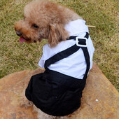 Haine pentru animale de companie Cățeluș Câine Salopetă Costum Papion Cămașă smoking Elegantă Îmbrăcăminte formală de nuntă - SML XL XXL - Alb Negru 20A