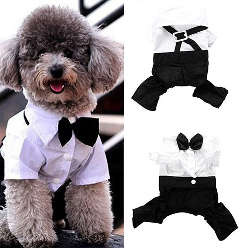 Odjeća za kućne ljubimce Puppy Dog Kombinezon Odijelo Leptir Kravata Smoking Košulja Elegantna svečana odjeća za vjenčanje - SML XL XXL - Bijelo Crna 20A