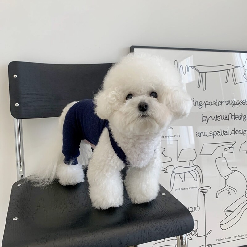 Četveronoške jednobojne odjeće za pse Ljetni tanki bodi Teddy Mekani pulover York Hlače za nošenje hladnjaka Kućna odjeća za štene