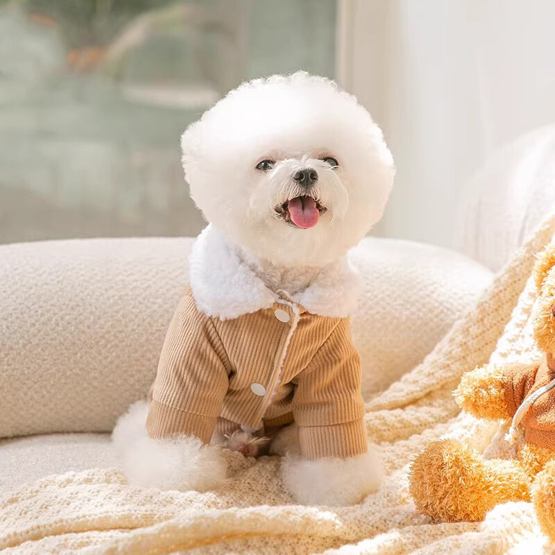 Jauki jēra vilnas suņu apģērbi Ziemas vilnas kokvilnas mētelis maziem un vidējiem suņiem silts mētelis rotaļu multfilma divu kāju apģērbi