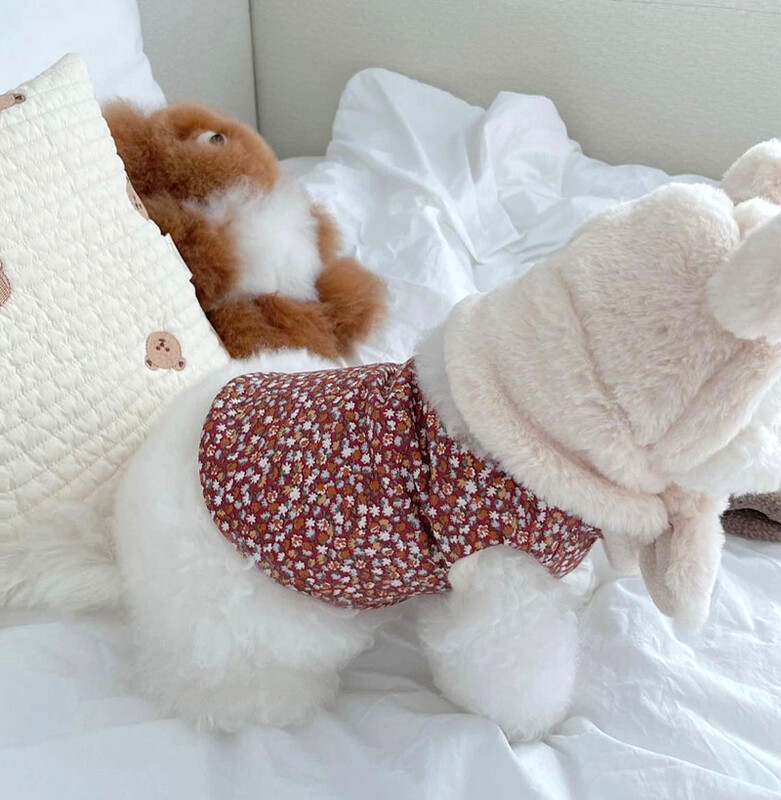 Karirani pamučni kaput za kućne ljubimce Puppy Teddy Hoodie Medvjedići Zimska topla odjeća za dvije noge Zadebljana mekana odjeća za pse XS-XL
