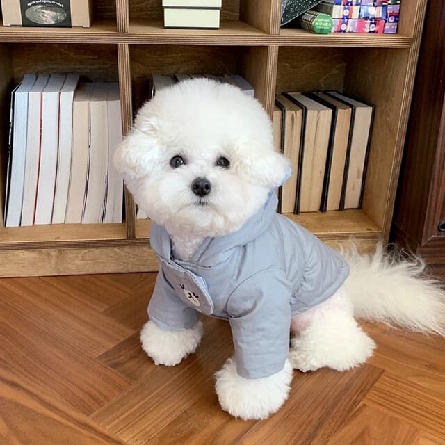 2023. Jesen Topla odjeća za pse Pudla Kućni ljubimac Puni kaput Zimski čivava Teddy Mekana odjeća s otvorenim gumbima Psa Hladna jakna za odlaske