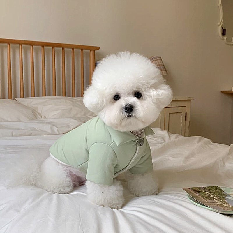 Slatka ružičasta odjeća za pse Zadebljani pamučni kaput za kućne ljubimce Zimska topla odjeća za štene Teddy Mekani kaput s puhom Jednobojna odjeća na dvije noge