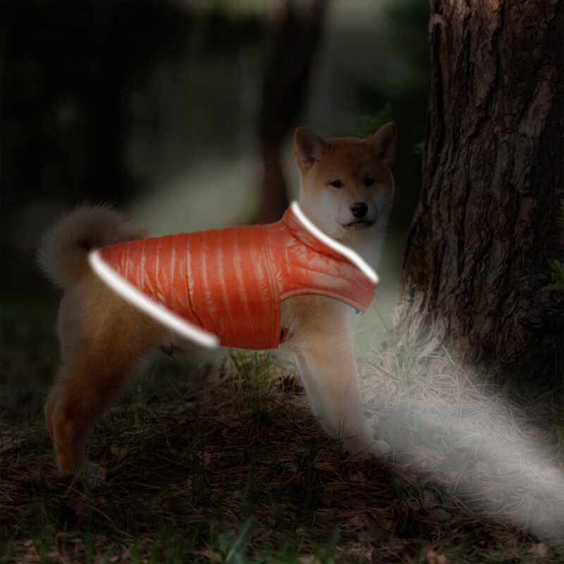 Vodootporna puhasta jakna za štene za male srednje pse, zimska reverzibilna odjeća za kućne ljubimce Shiba Inu Pug Corgi Kaput Mascotas odjeća