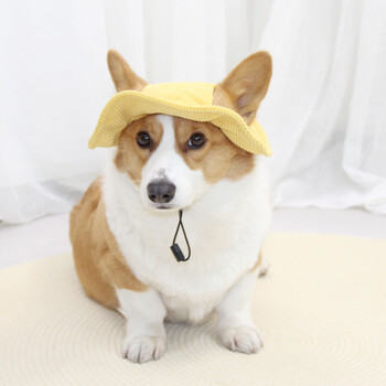 Χαριτωμένο καπέλο σκύλου ανοιχτά αυτιά Pet Fisherman Hat Shade Dress Up Corgi Αντηλιακό μικρό κίτρινο καπέλο