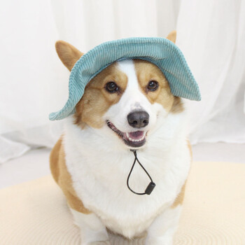 Χαριτωμένο καπέλο σκύλου ανοιχτά αυτιά Pet Fisherman Hat Shade Dress Up Corgi Αντηλιακό μικρό κίτρινο καπέλο