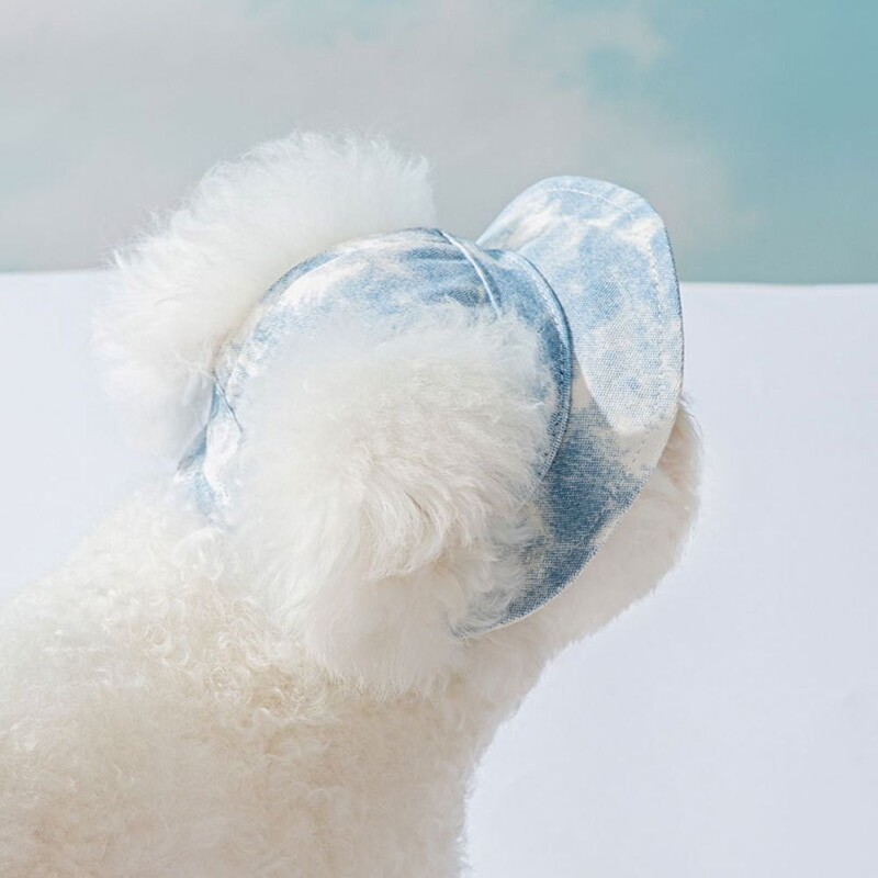 Pseća ribarska kapa s otkrivenim ušima Prozračna kapa za pse protiv pada Podesiva kapa za zaštitu od sunca za pse na otvorenom