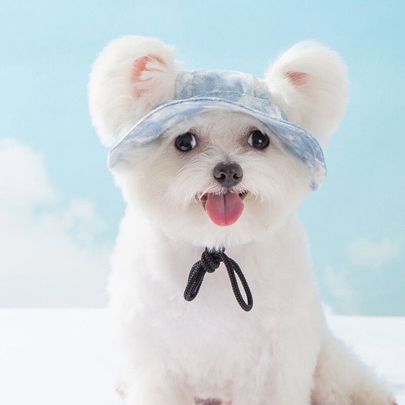 Pseća ribarska kapa s otkrivenim ušima Prozračna kapa za pse protiv pada Podesiva kapa za zaštitu od sunca za pse na otvorenom