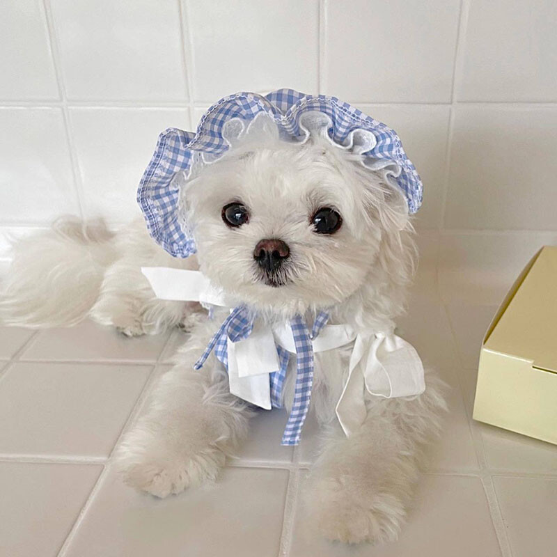 INS pamučna plava karirana suknja s tregerima Odgovarajući šešir za pse Remen veličine jedne veličine Podesivi dodaci za pse za male pse