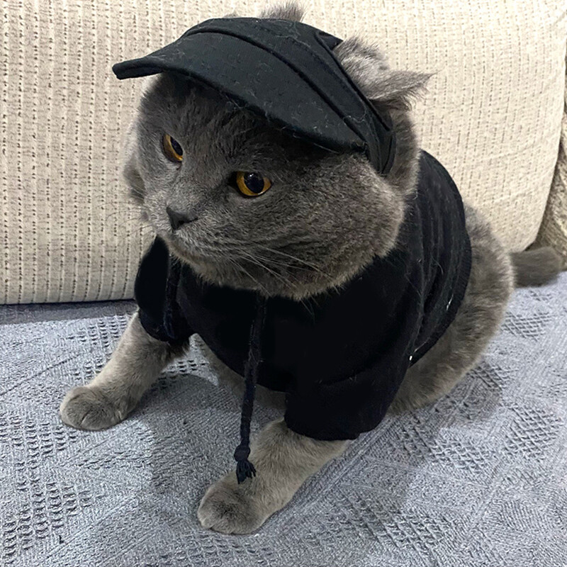 Kutya sapka Napvédő sapka Baseball sapka kültéri sportsapka füllyukakkal Állítható kis és közepes kutyák számára