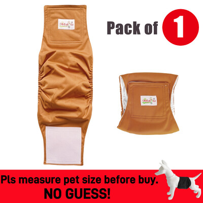 Scutec lavabil pentru câini de sex masculin Pantaloni sanitari fiziologici reutilizabili pentru animale de companie.