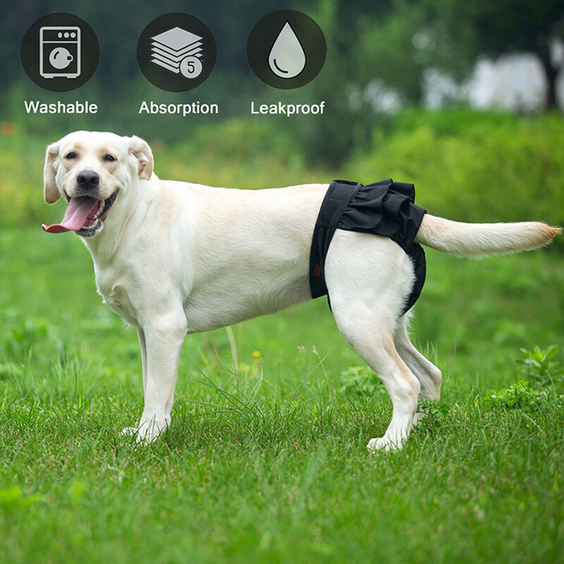 Kratke gaćice za kućne ljubimce Gaćice za male velike pse Mačke Perive fiziološke hlačice Pelene Štene Menstruacija Donje rublje Dodaci za pse