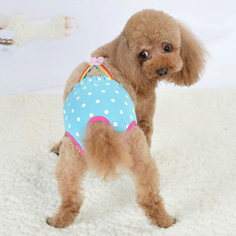 Modne gaćice za pse, mekane, udobne, prozračne, gaćice za pse, slatke pelene za pse, higijenske kratke hlače za pse, donje rublje