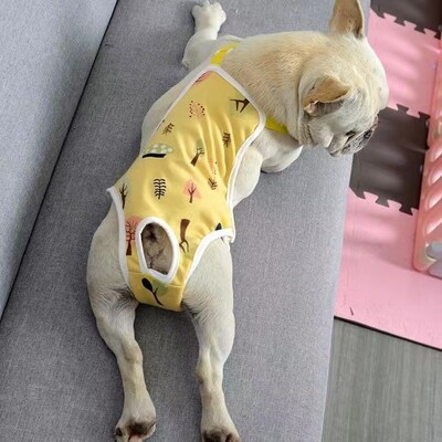 Animale de companie Scutece pentru câini, lavabile, pentru femeie, pantaloni scurți, chiloți, lenjerie de corp pentru menstruație, pantaloni fiziologici, articole sanitare pentru animale de companie