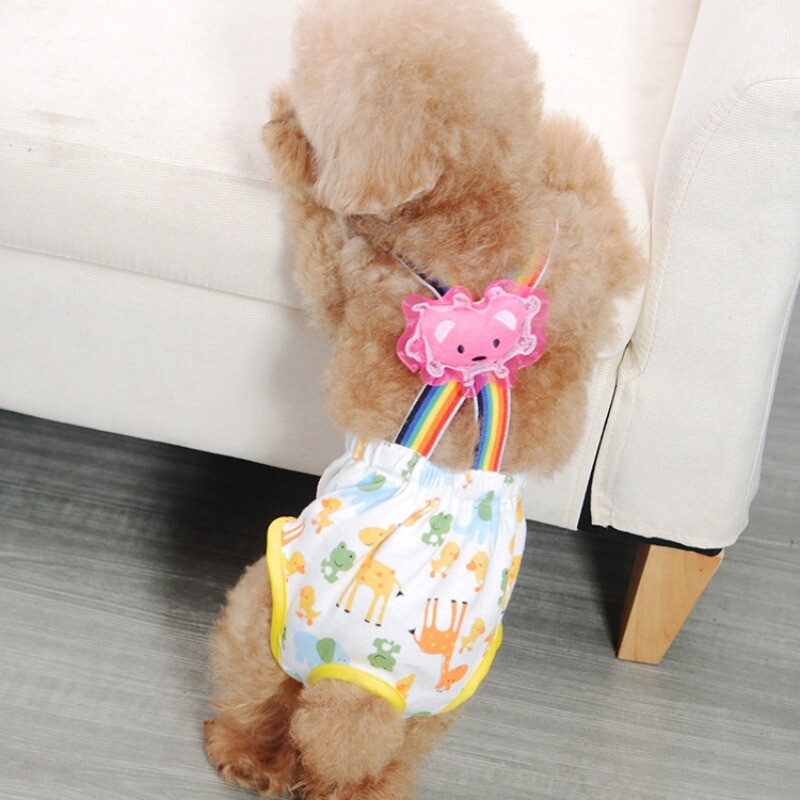 Πάνες για σκύλους κατοικίδιων ζώων που πλένονται Γυναικεία σορτς για σκύλους Εσώρουχα έμμηνου ρύσης Σλιπ Φυσιολογικό παντελόνι Υγιεινής για κατοικίδια Προμήθειες