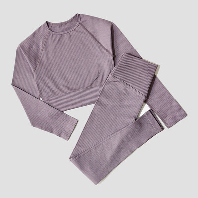 Îmbrăcăminte sport pentru femei Set de yoga Îmbrăcăminte de antrenament Îmbrăcăminte atletică Sport Sală de gimnastică Jambiere fără sudură Fitness Sutien Crop Top Costum de yoga cu mâneci lungi