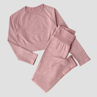 Îmbrăcăminte sport pentru femei Set de yoga Îmbrăcăminte de antrenament Îmbrăcăminte atletică Sport Sală de gimnastică Jambiere fără sudură Fitness Sutien Crop Top Costum de yoga cu mâneci lungi