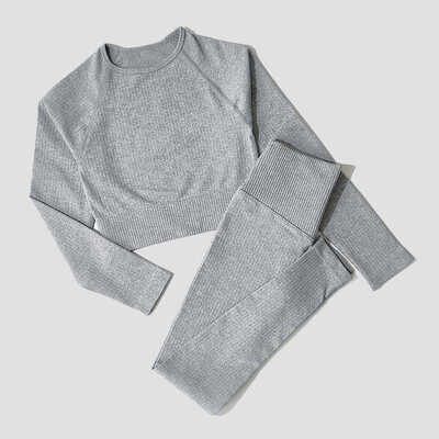Îmbrăcăminte sport pentru femei Set de yoga Îmbrăcăminte de antrenament Îmbrăcăminte atletică Sport Sală de gimnastică Jambiere fără sudură Fitness Sutien Crop Top Costum de yoga cu mâneci lungi