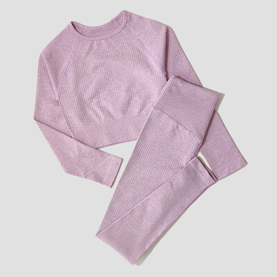 Îmbrăcăminte sport pentru femei Set de yoga Îmbrăcăminte de antrenament Îmbrăcăminte atletică Sport Sală de gimnastică Jambiere fără sudură Fitness Sutien Crop Top Costum de yoga cu mâneci lungi