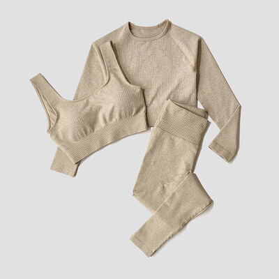 Îmbrăcăminte sport pentru femei Set de yoga Îmbrăcăminte de antrenament Îmbrăcăminte atletică Sport Sală de gimnastică Jambiere fără sudură Fitness Sutien Crop Top Costum de yoga cu mâneci lungi
