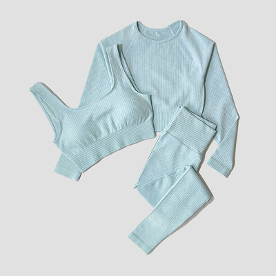 Îmbrăcăminte sport pentru femei Set de yoga Îmbrăcăminte de antrenament Îmbrăcăminte atletică Sport Sală de gimnastică Jambiere fără sudură Fitness Sutien Crop Top Costum de yoga cu mâneci lungi