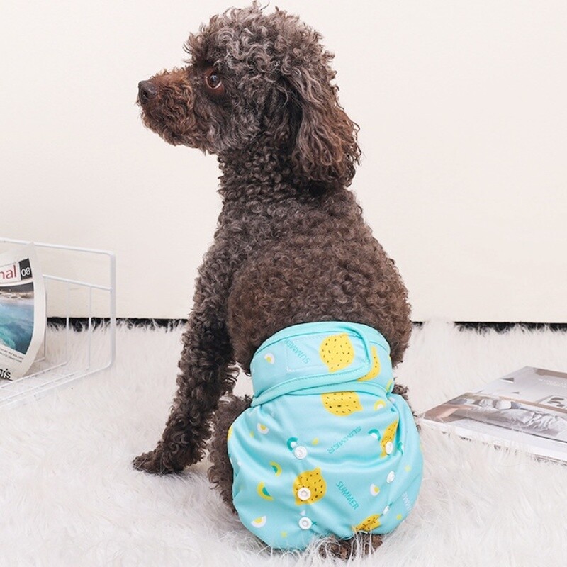 Gaćice za kućne ljubimce za višekratnu upotrebu Perive pelene za pse Mekane fiziološke hlače za štene Pet mačke Fiziološke pelene Sanitarne