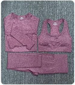 2/3/5 buc. Costume sportive pentru femei fără sudură Set de yoga Îmbrăcăminte sportivă de antrenament Îmbrăcăminte de gimnastică Fitness Top cu mânecă lungă Leggings cu talie înaltă