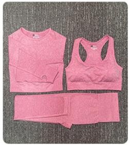 2/3/5 buc. Costume sportive pentru femei fără sudură Set de yoga Îmbrăcăminte sportivă de antrenament Îmbrăcăminte de gimnastică Fitness Top cu mânecă lungă Leggings cu talie înaltă