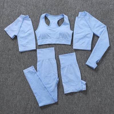 2/3/5 buc. Costume sportive pentru femei fără sudură Set de yoga Îmbrăcăminte sportivă de antrenament Îmbrăcăminte de gimnastică Fitness Top cu mânecă lungă Leggings cu talie înaltă