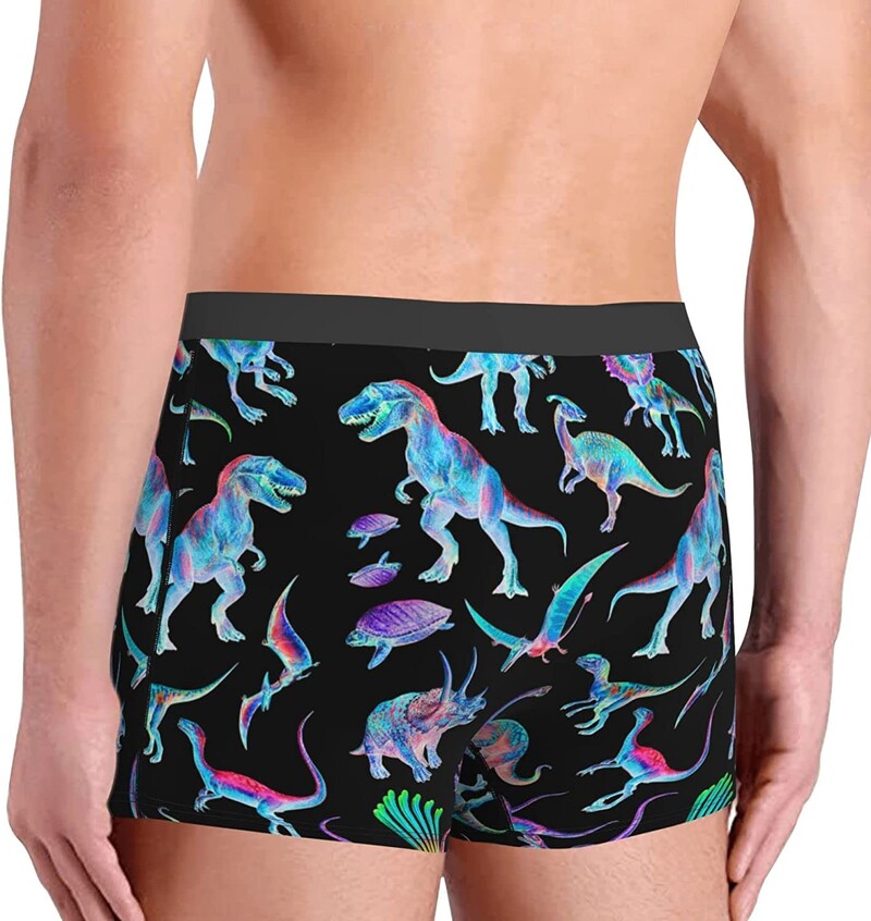 Ανδρικά σλιπ μπόξερ Fantasy Dinosaur εσώρουχα μπαούλα Soft Stretch Sport Boxer Σλιπ Fitness για άνδρες Αγόρια