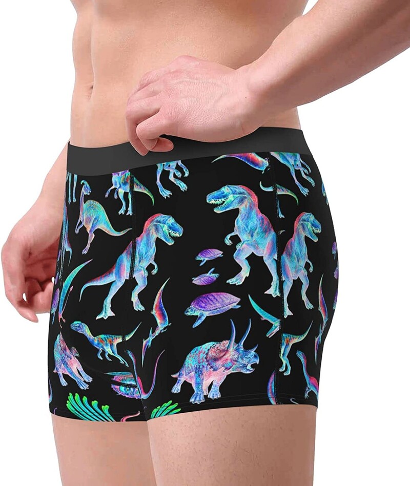 Ανδρικά σλιπ μπόξερ Fantasy Dinosaur εσώρουχα μπαούλα Soft Stretch Sport Boxer Σλιπ Fitness για άνδρες Αγόρια