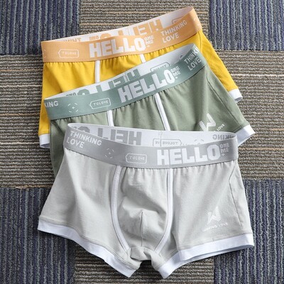 3 buc Lenjerie de corp pentru bărbați BoxerShorts Chiloți bărbați din bumbac Boxeri pentru bărbați, elastici, absorbanți de umiditate, chiloți confortabili imprimați pentru bărbați