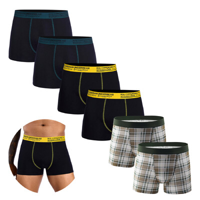 6tk pakk 2024 Brand Boxer Fashion Style Meeste Aluspüksid Puuvillane Aluspesu Meeste Ja Aluspüksid Homme Luksuskomplekti Lühikesed püksid Box Slips