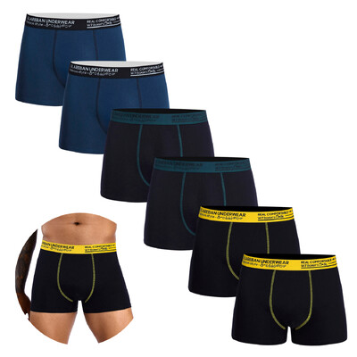 6tk pakk 2024 Brand Boxer Fashion Style Meeste Aluspüksid Puuvillane Aluspesu Meeste Ja Aluspüksid Homme Luksuskomplekti Lühikesed püksid Box Slips
