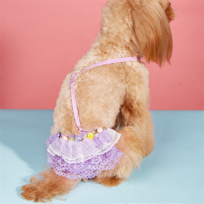 Χαριτωμένο δαντέλα θηλυκό κατοικίδιο φυσιολογικό παντελόνι για μικρά σκυλιά γάτες κατά της παρενόχλησης αρσενικό σκυλί Ασφάλεια εμμηνορροϊκό παντελόνι μασκότ αξεσουάρ