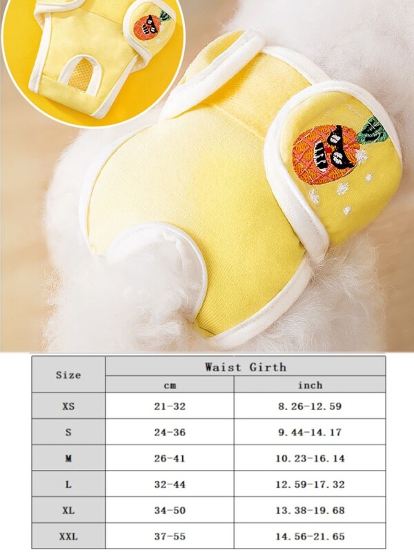 Πάνες σκύλου Puppy Γυναικεία κιλότα Σορτς Pet Physiological Pant Εσώρουχα που πλένονται Γυναικεία εσώρουχα Diper Dog Diper Ρούχα για σκύλους γάτας 2024