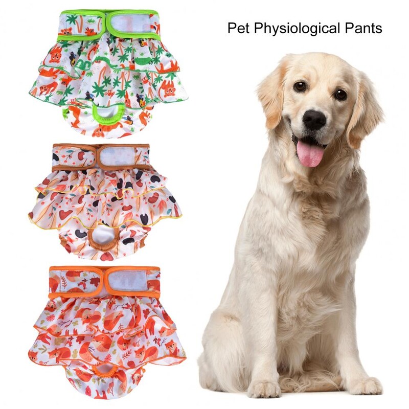 Πάνες για σκύλους Γυναικεία πάνα για κατοικίδια Πολυεστέρας κουταβιού Υγιεινές εσώρουχα για σκύλους Πάνες για κατοικίδια παντελόνια φυσιολογικά σορτς για κατοικίδια