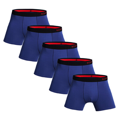 5db csomag 2023 Férfi Bugyi Pamut Fehérnemű Férfi márkájú boxer és alsónadrág For Homme Luxury Set Sexy Shorts Box Slip Kit Gym