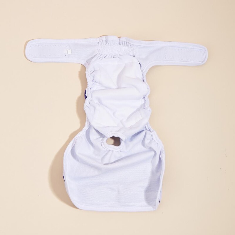 Patogūs šunų menstruaciniai apatiniai kvėpuojantys vaivorykštės raštai šunų vystyklai Kelnaitės mažiems vidutiniams šunims augintiniams šunims