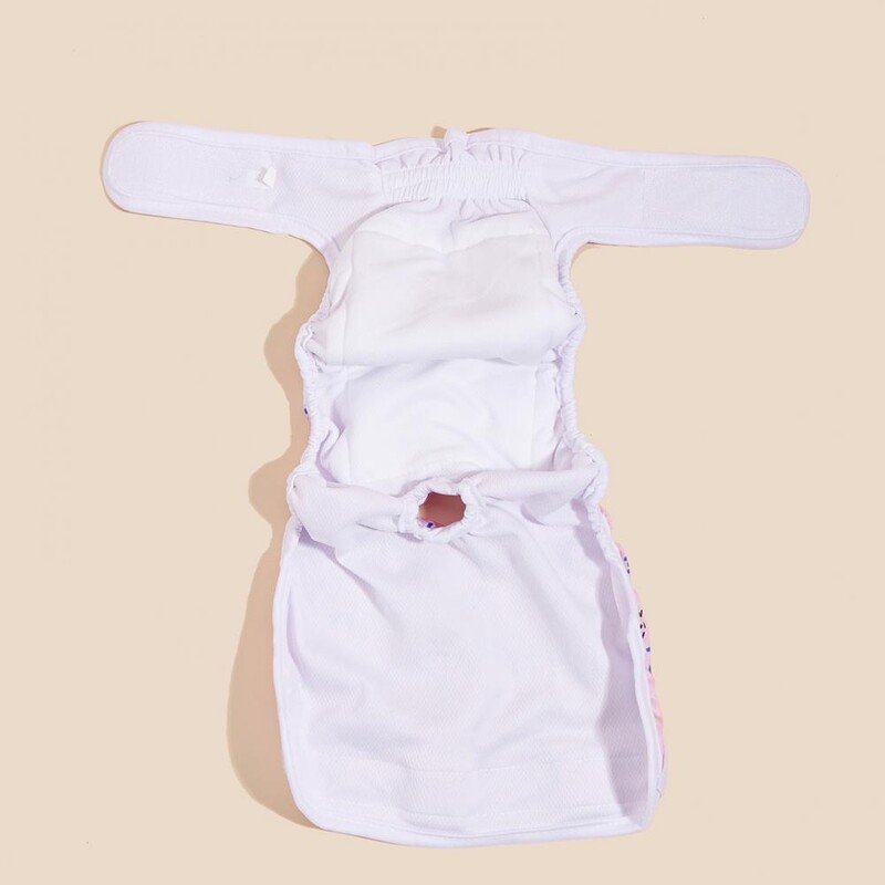 Patogūs šunų menstruaciniai apatiniai kvėpuojantys vaivorykštės raštai šunų vystyklai Kelnaitės mažiems vidutiniams šunims augintiniams šunims