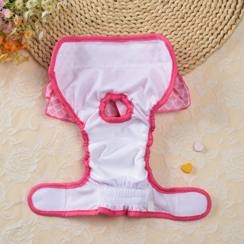 Παντελόνι υγιεινής κατοικίδιων ζώων υψηλής απορρόφησης στεγανό για σκύλους Φυσιολογικό παντελόνι στερέωσης ταινία που καθορίζει αναπνεύσιμες πάνες κουταβιών Προϊόντα για κατοικίδια