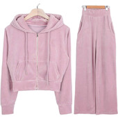 Toamnă Iarnă Catifea Pure Seturi Sportive Femei Stil Corean Moda Hanorace Decupate Zip Up Casual Pantaloni Tale Înaltă Set Sport cald