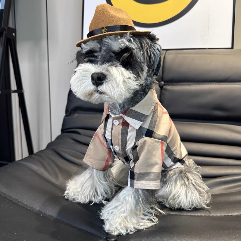 Ρούχα για κατοικίδια, λεπτά ρούχα, μικρός σκύλος, γάτα, καρό πουκάμισο, γαλλικός κουβάς, Schnauzer, Bibi, αρκουδάκι, Shiba Inu