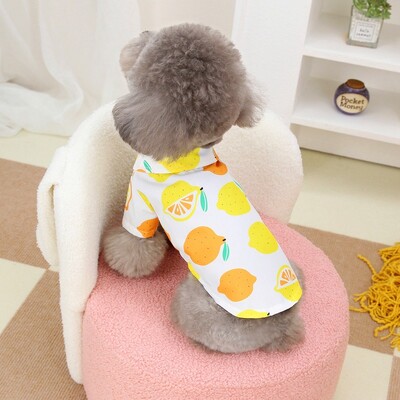 Teddy Fruit ing Kisállat Ruhák Kölyök Nyári Aranyos Ruhák Vékony Nyitott Gombos ing Yorkshire Két lábú Ruhák
