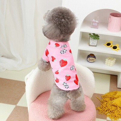Teddy Fruit ing Kisállat Ruhák Kölyök Nyári Aranyos Ruhák Vékony Nyitott Gombos ing Yorkshire Két lábú Ruhák