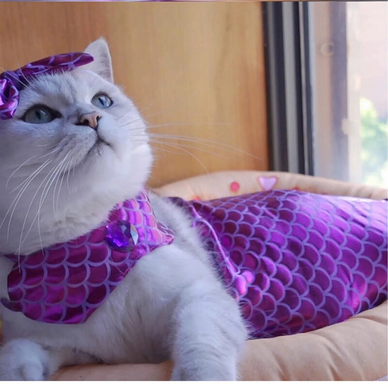 Kaķu Helovīna kostīmi Mirdzoši Cosplay Suņu apģērbi Apģērbs mazam kaķēnam dzimšanas dienas ballītei ģērbšanās mājdzīvnieku kostīmi Cos