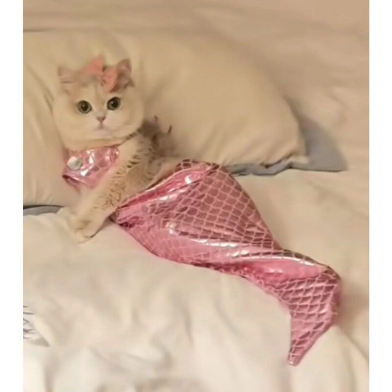 Kaķu Helovīna kostīmi Mirdzoši Cosplay Suņu apģērbi Apģērbs mazam kaķēnam dzimšanas dienas ballītei ģērbšanās mājdzīvnieku kostīmi Cos