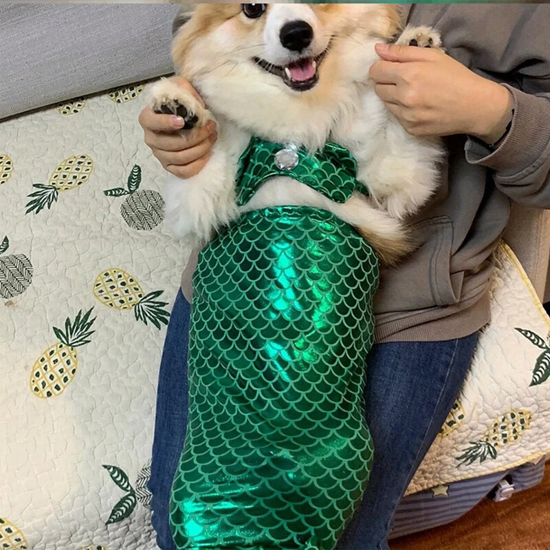 Kaķu Helovīna kostīmi Mirdzoši Cosplay Suņu apģērbi Apģērbs mazam kaķēnam dzimšanas dienas ballītei ģērbšanās mājdzīvnieku kostīmi Cos