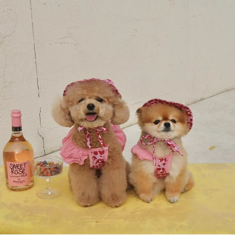 Costum de leopard roz pentru cămașă de corp pentru câine de companie cu pălărie Costum de baie dintr-o singură piesă Bikini cu halter câine pisică costum de baie respirabil